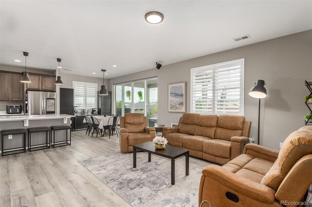 living room featuring light hardwood / wood-style flooring