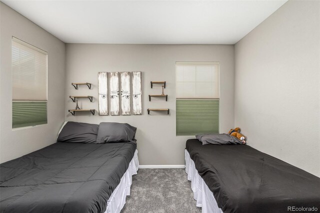 bedroom with carpet floors