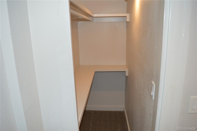 1215 10th Ave, Greeley, CO 80631 - spacious closet with carpet floors