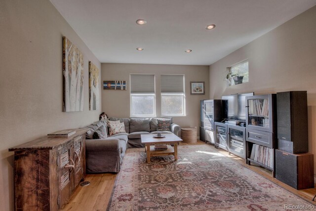 136 W Buckskin Rd, Alma, CO 80420 - living room featuring recessed lighting and light wood-type flooring