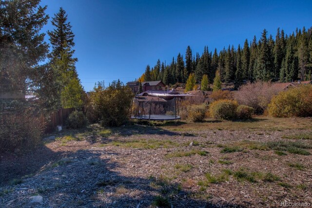 136 W Buckskin Rd, Alma, CO 80420 - view of yard with fence and a view of trees