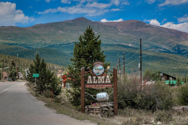 136 W Buckskin Rd, Alma, CO 80420 - property view of mountains