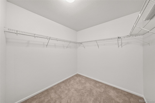 15602 E 117th Ave, Commerce City, CO 80022 - photo 19