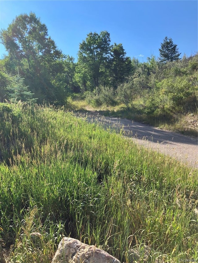 205 Casey St, Central City, CO 80427