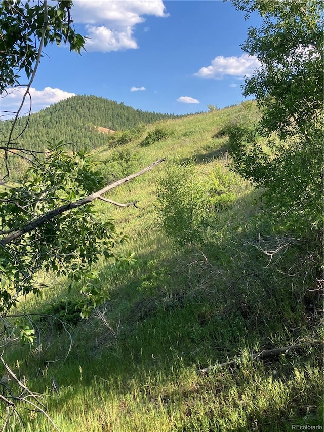 205 Casey St, Central City, CO 80427