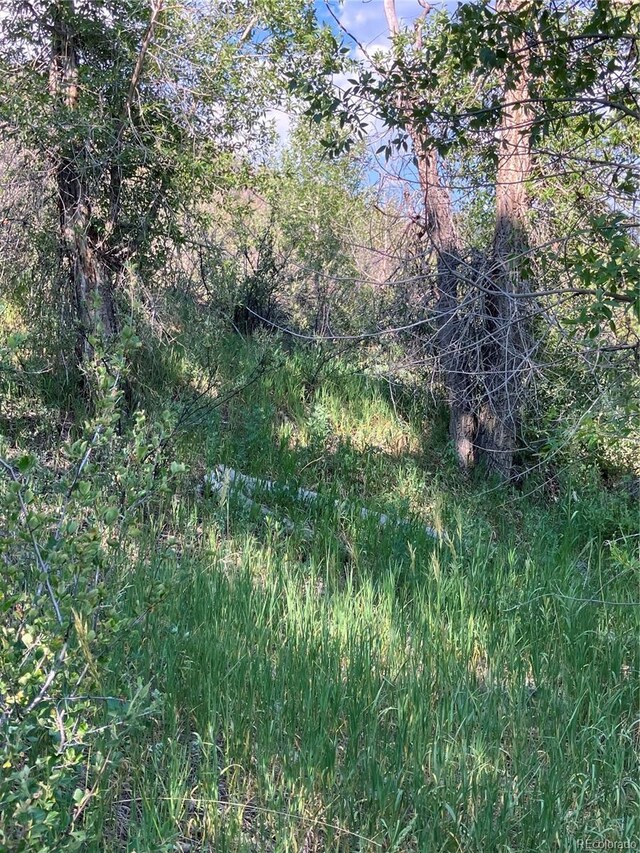 205 Casey St, Central City, CO 80427