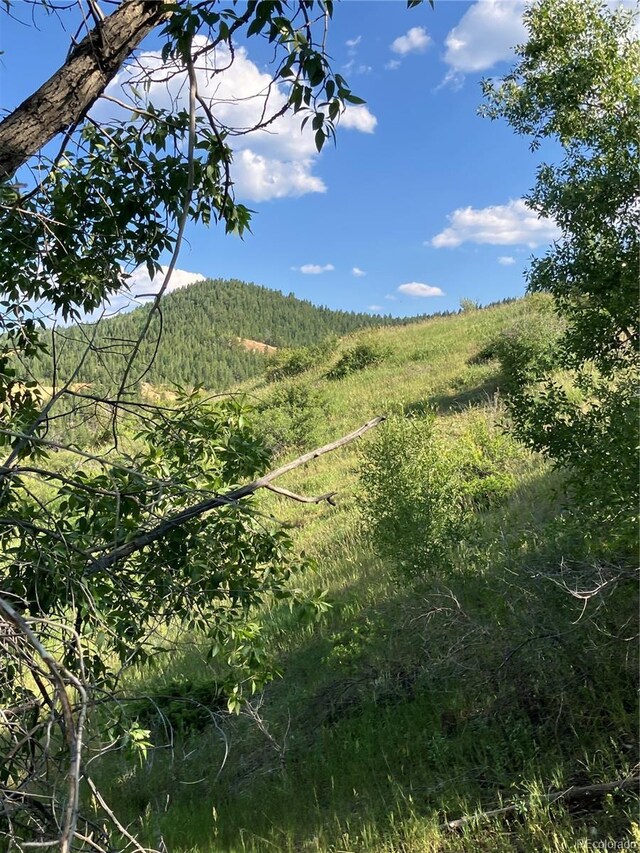 205 Casey St, Central City, CO 80427