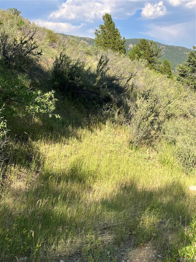 205 Casey St, Central City, CO 80427