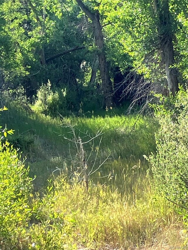 205 Casey St, Central City, CO 80427