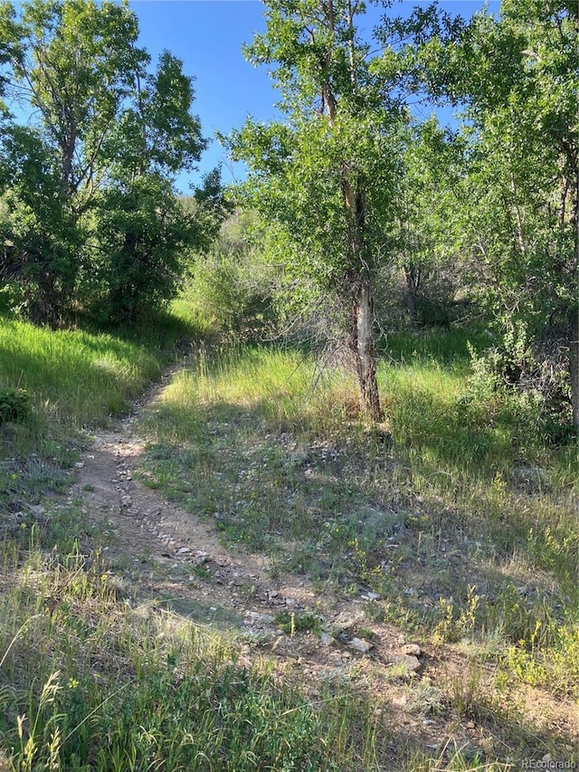205 Casey St, Central City, CO 80427