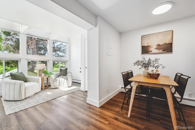 dining room featuring plenty of natural light, dark hardwood / wood-style floors, and baseboard heating