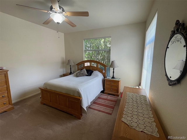 9798 Grove St, Westminster, CO 80031 - photo 8