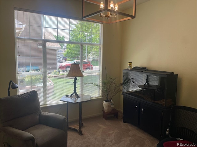 9798 Grove St, Westminster, CO 80031 - photo 17