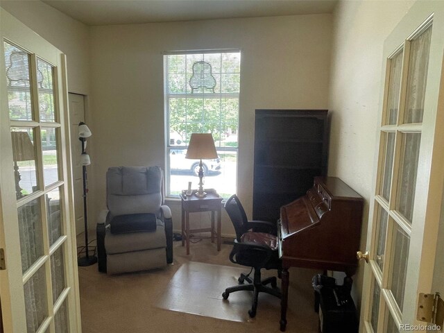 9798 Grove St, Westminster, CO 80031 - photo 16