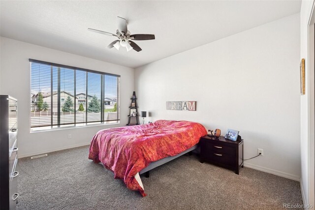 9085 Vanderwood Rd, Colorado Springs, CO 80908 - photo 11