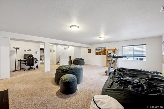 9085 Vanderwood Rd, Colorado Springs, CO 80908 - photo 18