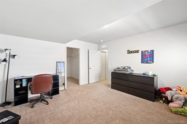 9085 Vanderwood Rd, Colorado Springs, CO 80908 - photo 23