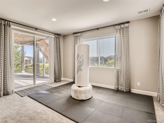 11096 Endeavor Dr, Parker, CO 80134 - workout room with healthy amount of natural light, baseboards, and carpet flooring