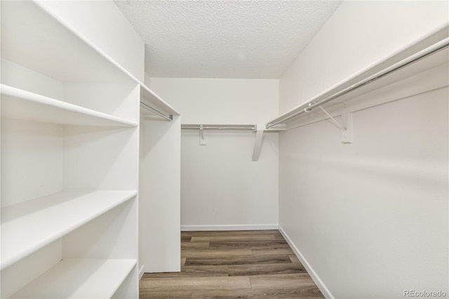 211 Wright St Unit 306, Lakewood, CO 80228 - photo 13