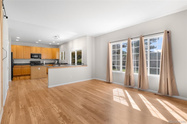 9898 Tourmaline Ct, Parker, CO 80134 - kitchen featuring black appliances, healthy amount of natural light, light wood-style floors, recessed lighting, and baseboards