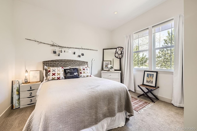 19 S 45th Ave, Brighton, CO 80601 - bedroom featuring baseboards and carpet flooring