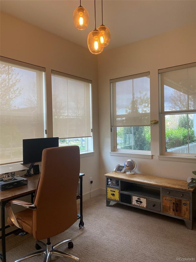 19 S 45th Ave, Brighton, CO 80601 - office area with carpet flooring
