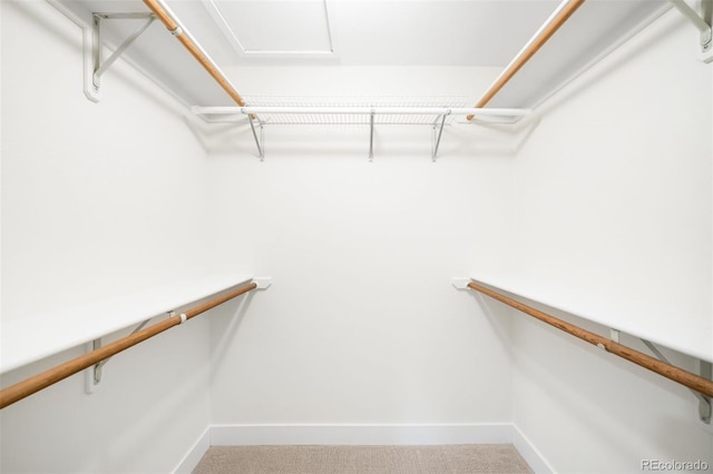 655 Cree Cir, Boulder, CO 80303 - walk in closet featuring light carpet