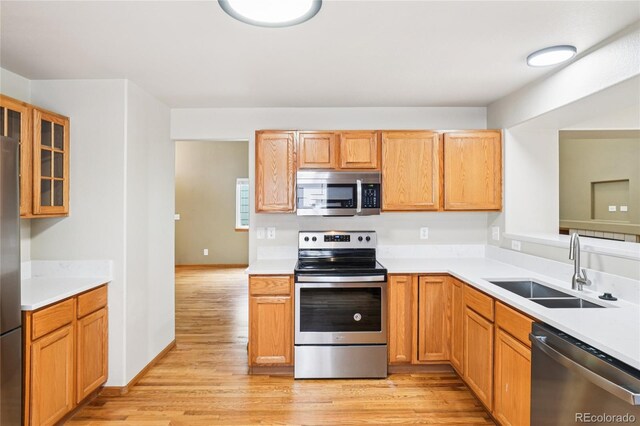 4919 Delany Dr, Fort Collins, CO 80528 - photo 10
