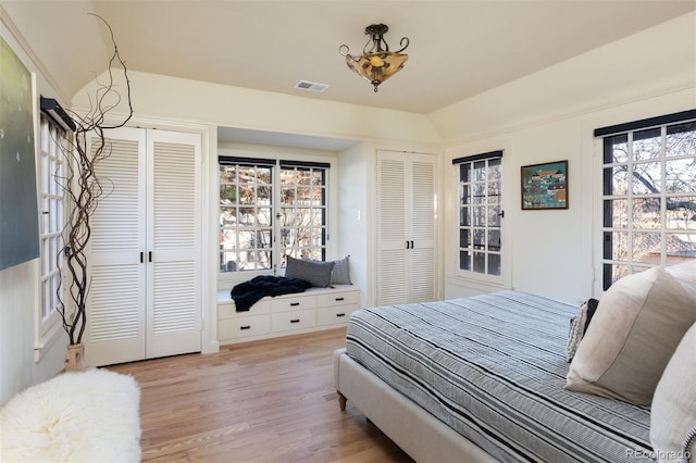 bedroom with lofted ceiling, wood finished floors, and two closets