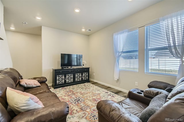 living room with hardwood / wood-style floors and a wealth of natural light