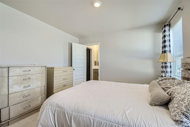 bedroom featuring carpet floors, connected bathroom, and multiple windows