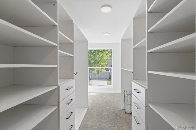 spacious closet featuring light colored carpet