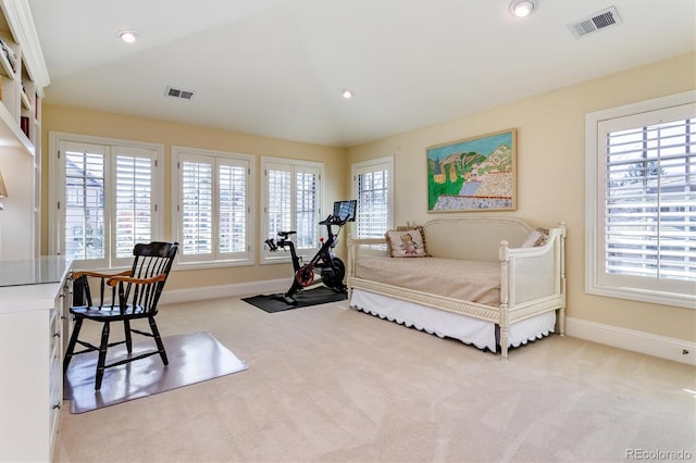 bedroom with multiple windows, vaulted ceiling, and light carpet