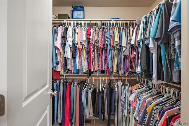 1176 E Purcell Ln, Pueblo, CO 81007 - view of walk in closet