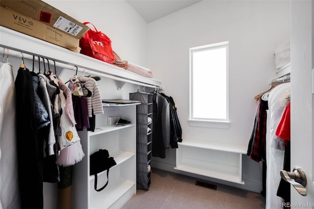 spacious closet with carpet floors