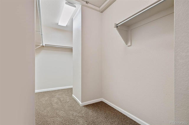 spacious closet with carpet flooring