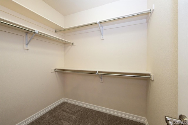 8285 W 67th Pl, Arvada, CO 80004 - photo 33