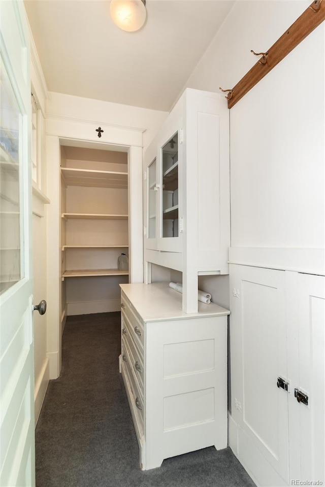 spacious closet with dark carpet