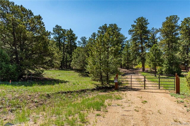 288 Bear Ln, Cotopaxi, CO 81223 - photo 1
