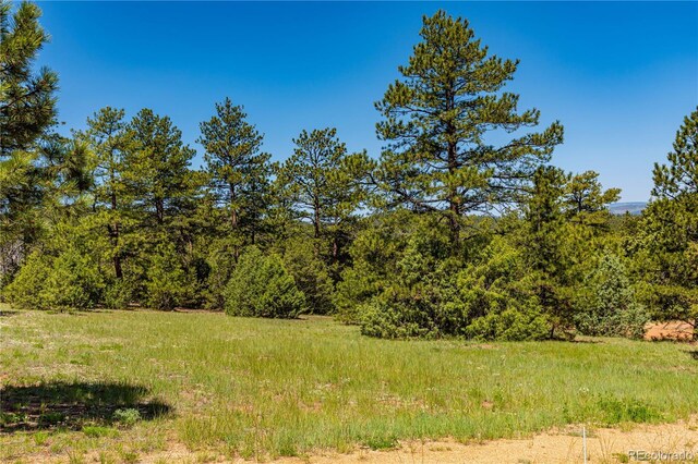 288 Bear Ln, Cotopaxi, CO 81223 - photo 2