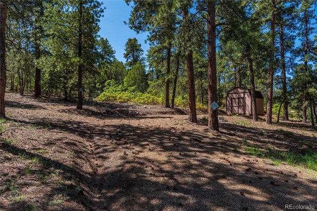 288 Bear Ln, Cotopaxi, CO 81223 - photo 3