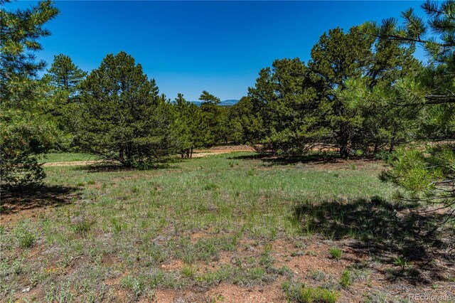 288 Bear Ln, Cotopaxi, CO 81223 - photo 4