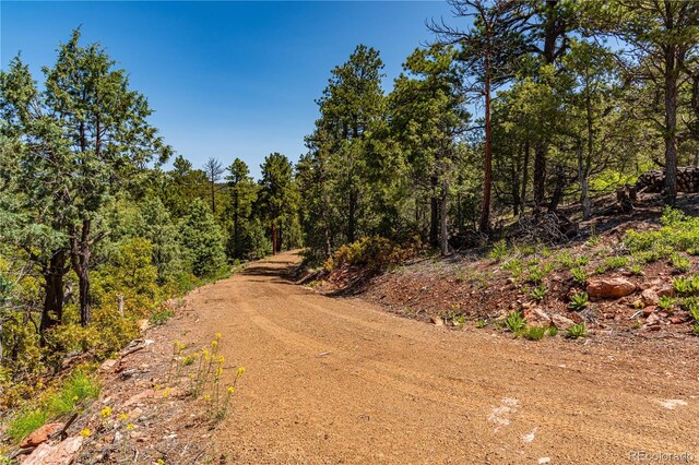 288 Bear Ln, Cotopaxi, CO 81223 - photo 5