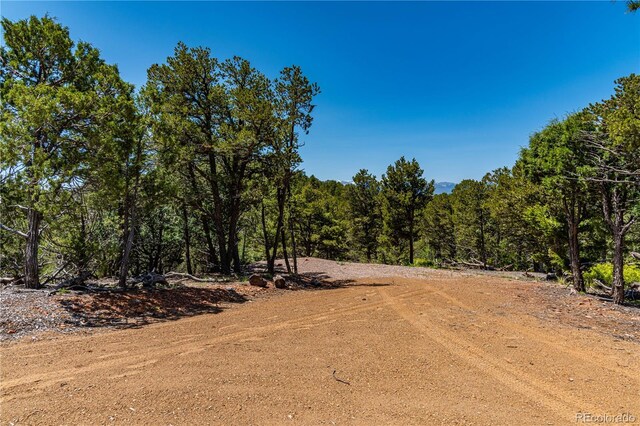 288 Bear Ln, Cotopaxi, CO 81223 - photo 7