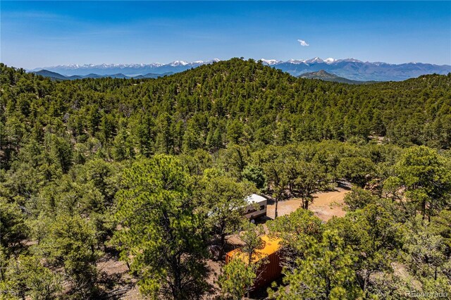 288 Bear Ln, Cotopaxi, CO 81223 - photo 8