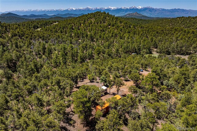 288 Bear Ln, Cotopaxi, CO 81223 - photo 14