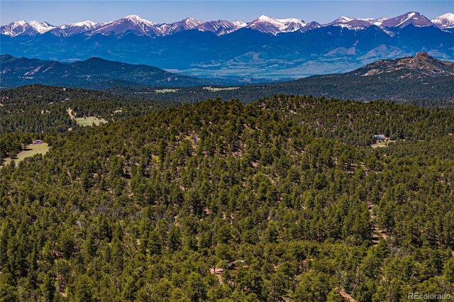 288 Bear Ln, Cotopaxi, CO 81223 - photo 15