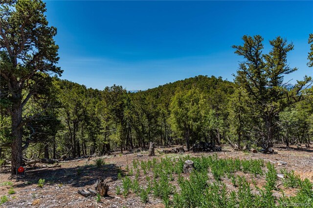 288 Bear Ln, Cotopaxi, CO 81223 - photo 16