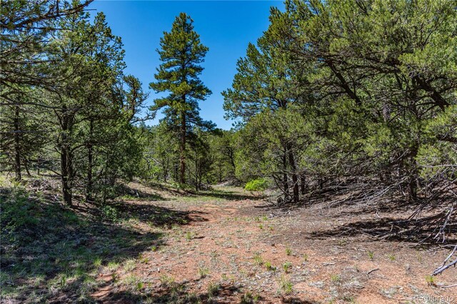 288 Bear Ln, Cotopaxi, CO 81223 - photo 19