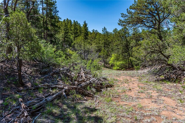 288 Bear Ln, Cotopaxi, CO 81223 - photo 20